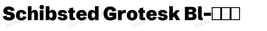 Schibsted Grotesk Bl字体转换